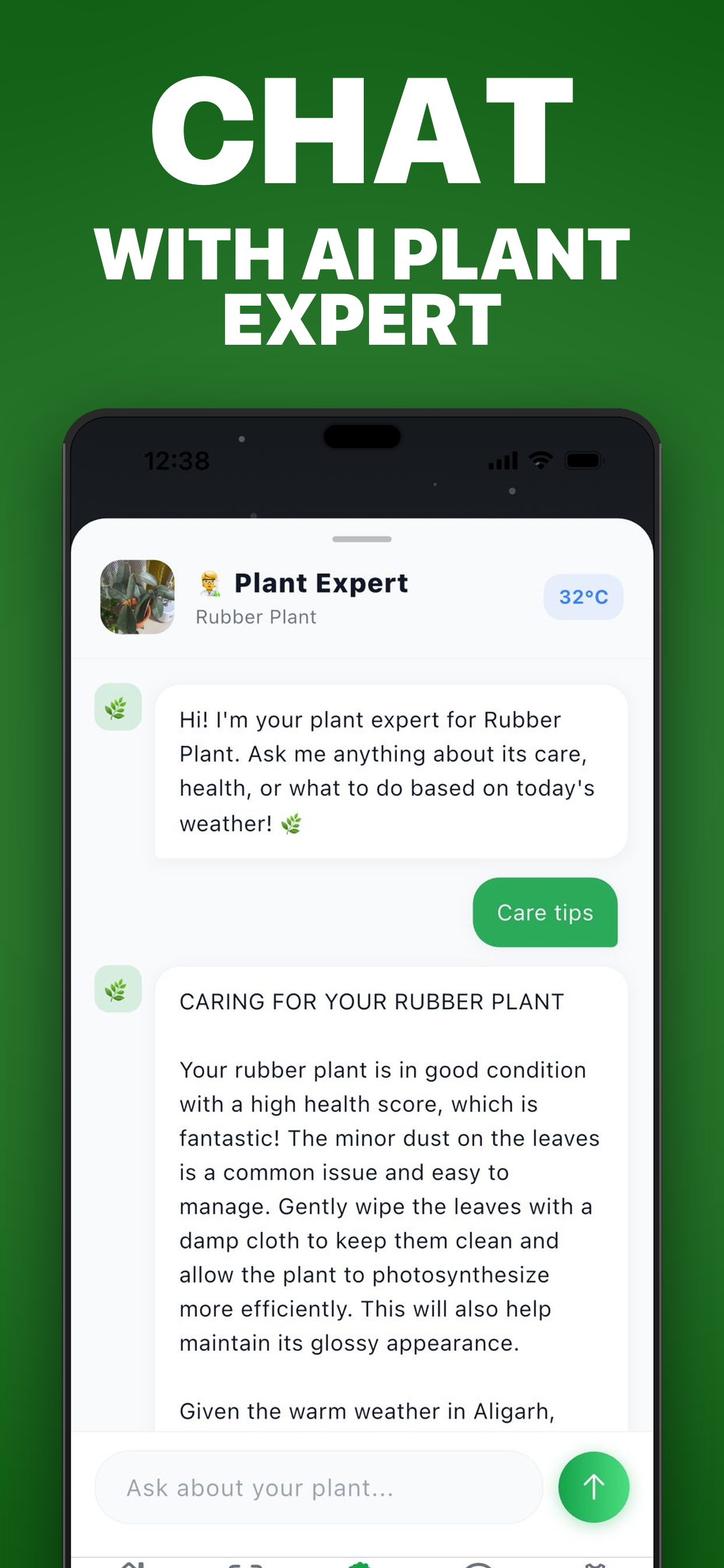 PlantCare Pro AI Expert Chat showing care tips for Rubber Plant with weather-aware advice